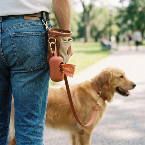 Dog Harness & Leash Set